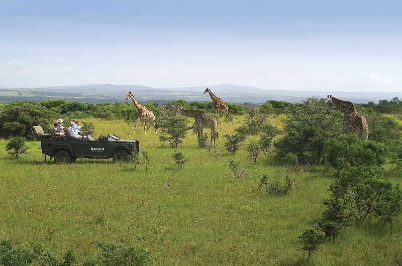 Kariega Game Reserve Bushman's River Mouth Zewnętrze zdjęcie