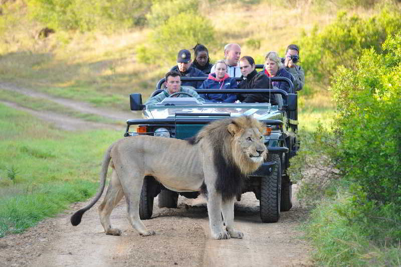 Kariega Game Reserve Bushman's River Mouth Zewnętrze zdjęcie